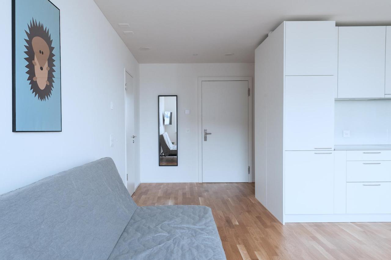 Hitrental Messe Apartments Базель Екстер'єр фото